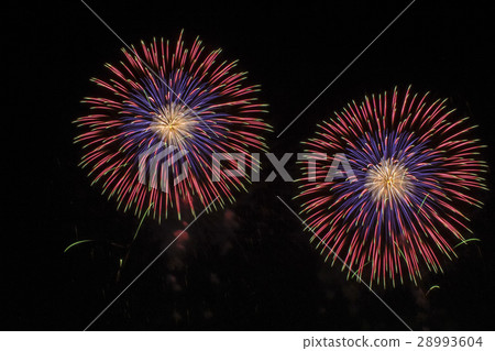 Tamamura煙花在Tamamura展示第10球12英寸煙花殼 28993604