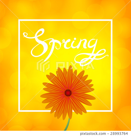 Spring Lettering Design Spring Lettering Design 28993764