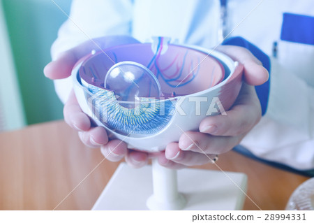 Ophthalmology oculus sample closeup 28994331