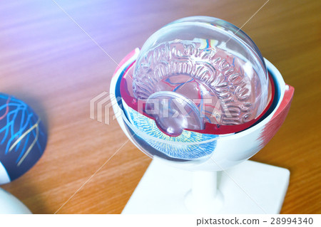 Ophthalmology oculus sample closeup 28994340