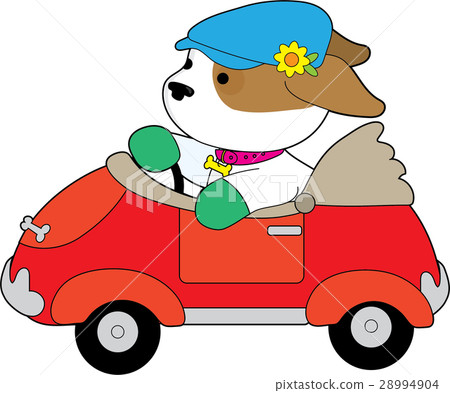 Puppy Car Puppy Car 28994904