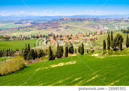 Green countryside in the province of Siena,Tuscany 28995301