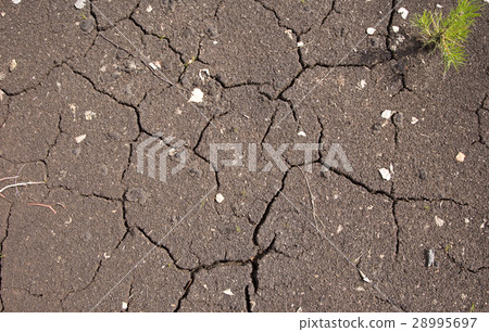 Texture of cracked soil 28995697