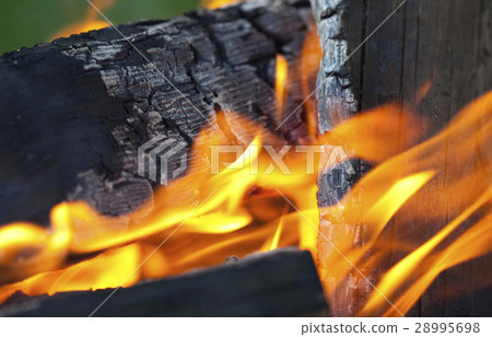 Close-up view of camp fire Close-up view of camp fire 28995698