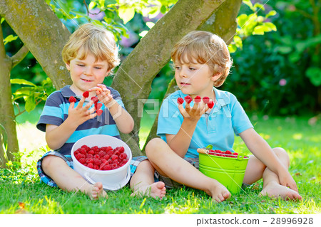 Two little friends, kid boys having fun on Two little friends, kid boys having fun on 28996928