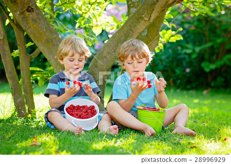 Two little friends, kid boys having fun on Two little friends, kid boys having fun on 28996929