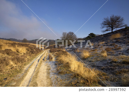 Sandy road near the Posbank Sandy road near the Posbank 28997392