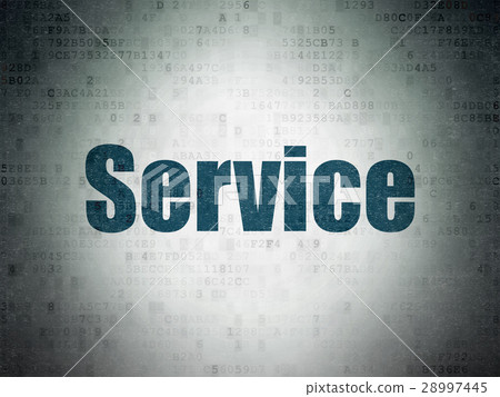 Business concept: Service on Digital Data Paper Business concept: Service on Digital Data Paper 28997445
