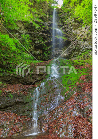 Valea lui Stan Gorge in Romania 28997647
