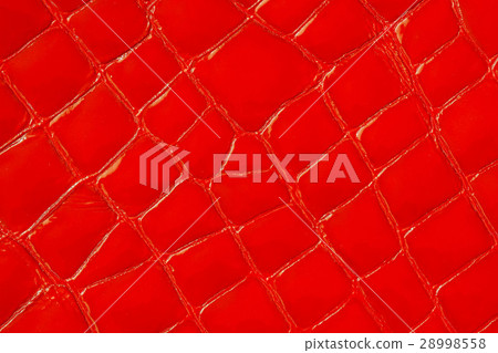 Texture of genuine patent leather close-up 28998558