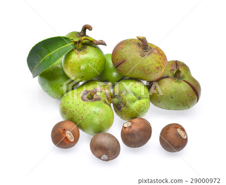 fresh tea seeds isolated on white background 29000972