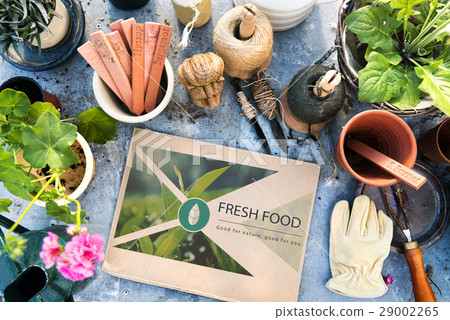 Fresh Food Healthy Lifestyle Organic Fresh Food Healthy Lifestyle Organic 29002265