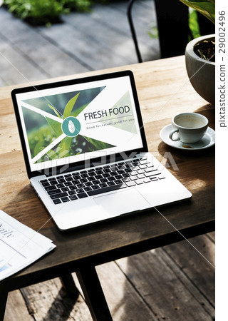 Fresh Food Healthy Lifestyle Organic 29002496