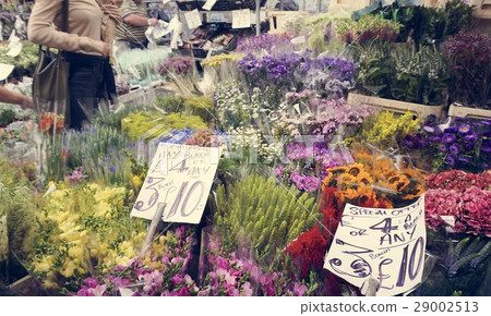 Beautiful Colourful Flowers Street Beautiful Colourful Flowers Street 29002513