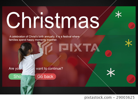 Christmas Celebration Party Xmas Concept 29003625