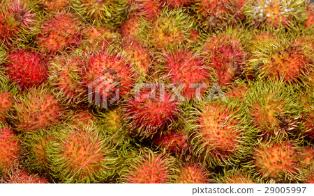 Fresh Rambutan fruit at market in Thailand Fresh Rambutan fruit at market in Thailand 29005997