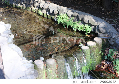 The pond spring and spring group of true appearance The pond spring and spring group of true appearance 29008012