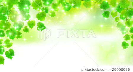  › product › raps-vitalol-buttella (29008056)
