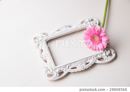 Photo frame and gerbera Photo frame and gerbera 29008568
