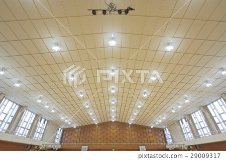 gymnasium gymnasium 29009317