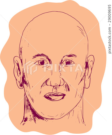 Bald Caucasian Male Head Drawing 29009695
