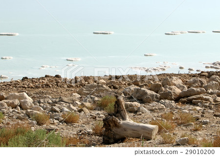 The shore of the Dead Sea - the Sodom Sea in the J 29010200