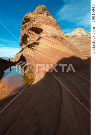 The Wave, Navajo Sandstone, Arizona 29010949