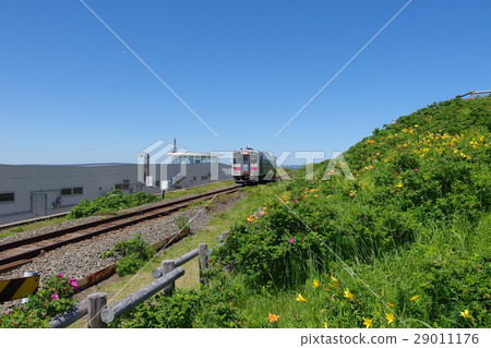 小清水小花園Kushiyo線 29011176