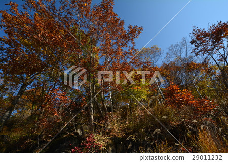 I went to Fujimi Plateau # 61 29011232