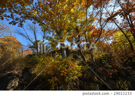 I went to Fujimi Plateau # 62 29011233