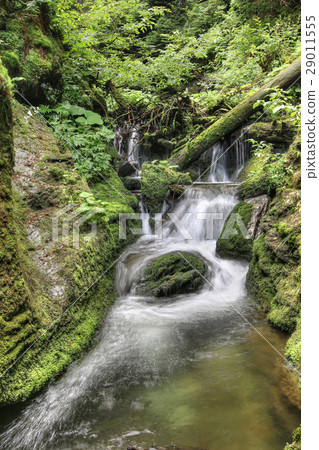 Waterfalls and rapids on the White Opava stream 29011555