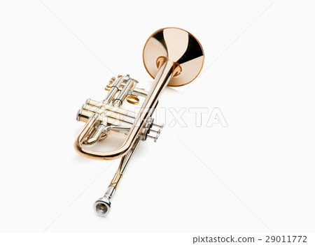 trumpet 29011772