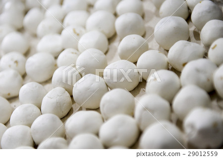 make dumpling 29012559