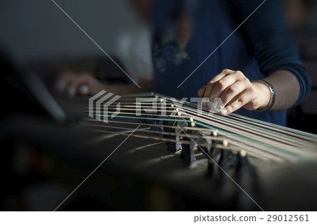 a girl playing a guzheng 29012561