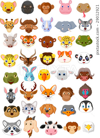 Cartoon animal head collection set - Stock Illustration [29012921] - PIXTA