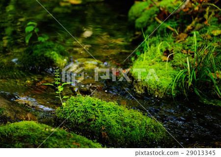 Daisetsu Asahikake source water 29013345
