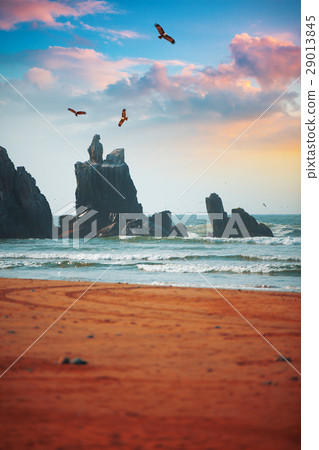 rocky coast along the ocean. Peru. rocky coast along the ocean. Peru. 29013845
