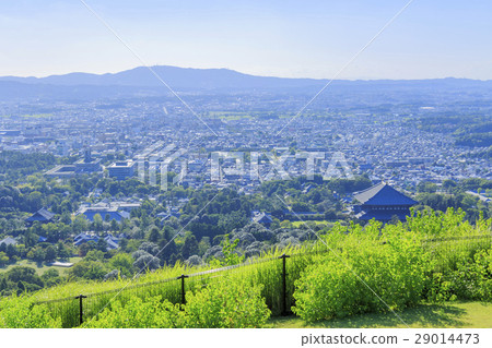 View from Nara prefecture · Wakakusa mountain 29014473