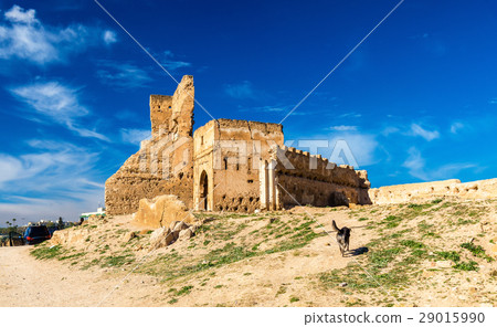 Marinid Tombs in Fes, Morocco Marinid Tombs in Fes, Morocco 29015990