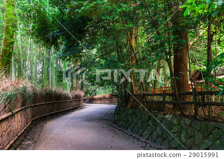 Sagano Bamboo Forest Road and Nomiya Shrine Sagano Bamboo Forest Road and Nomiya Shrine 29015991