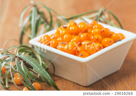 Sea-buckthorn berries in white bowl 29016268