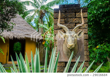 Head of Antelope with Hut and Garden Africa Stlye Head of Antelope with Hut and Garden Africa Stlye 29016684