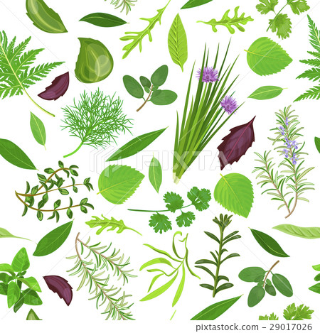 Cooking herbs seamless pattern vector set Cooking herbs seamless pattern vector set 29017026