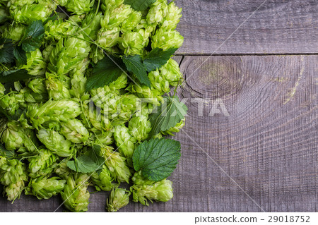 Fresh green hops on a wooden table 29018752