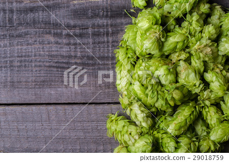 Fresh green hops on a wooden table Fresh green hops on a wooden table 29018759