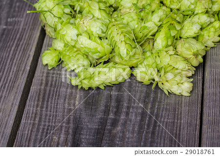 Fresh green hops on a wooden table Fresh green hops on a wooden table 29018761