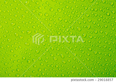 water drops on green background water drops on green background 29018857