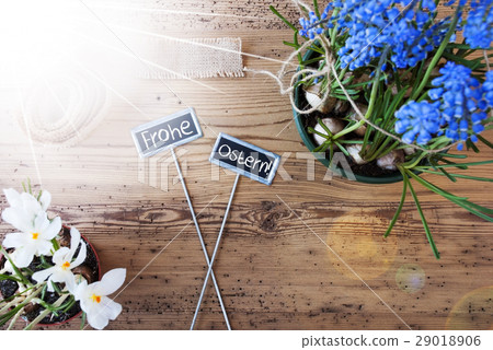 Sunny Flowers, Frohe Ostern Means Happy Easter 29018906