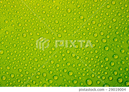water drops on green background water drops on green background 29019004