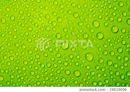 water drops on green background water drops on green background 29019006